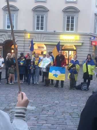 Акция в поддержку Украины в Линчёпинге. Швеция.